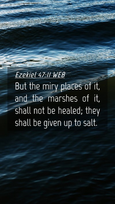 Picture 04 - Ezekiel 47:11 WEB Mobile Phone Wallpaper - But the miry places of it, and the marshes of it, - Mobile Bible Verse Wallpaper