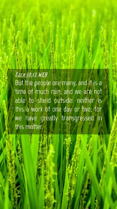 Picture 04 - Ezra 10:13 WEB Mobile Phone Wallpaper - But the people are many, and it is a time of much - Mobile Bible Verse Wallpaper