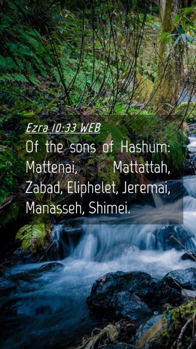 Picture 04 - Ezra 10:33 WEB Mobile Phone Wallpaper - Of the sons of Hashum: Mattenai, Mattattah, - Mobile Bible Verse Wallpaper