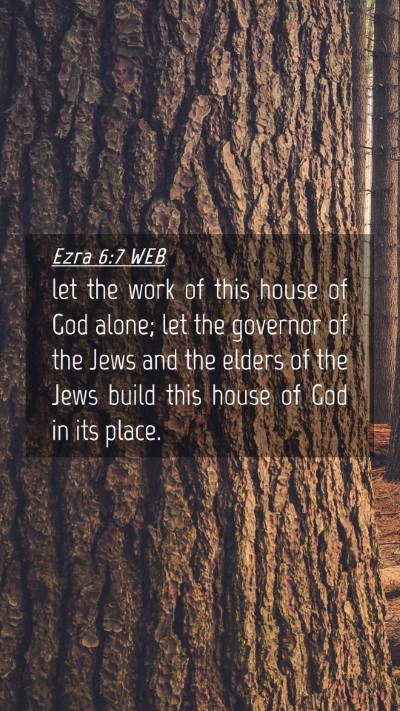 Picture 04 - Ezra 6:7 WEB Mobile Phone Wallpaper - let the work of this house of God alone; let the - Mobile Bible Verse Wallpaper