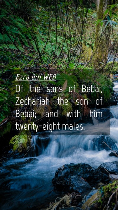 Picture 04 - Ezra 8:11 WEB Mobile Phone Wallpaper - Of the sons of Bebai, Zechariah the son of Bebai; - Mobile Bible Verse Wallpaper
