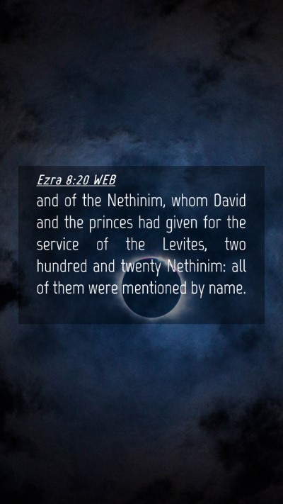 Picture 04 - Ezra 8:20 WEB Mobile Phone Wallpaper - and of the Nethinim, whom David and the princes - Mobile Bible Verse Wallpaper