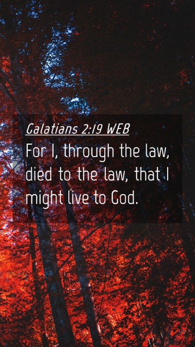 Picture 04 - Galatians 2:19 WEB Mobile Phone Wallpaper - For I, through the law, died to the law, that I - Mobile Bible Verse Wallpaper