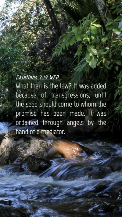 Picture 04 - Galatians 3:19 WEB Mobile Phone Wallpaper - What then is the law? It was added because of - Mobile Bible Verse Wallpaper