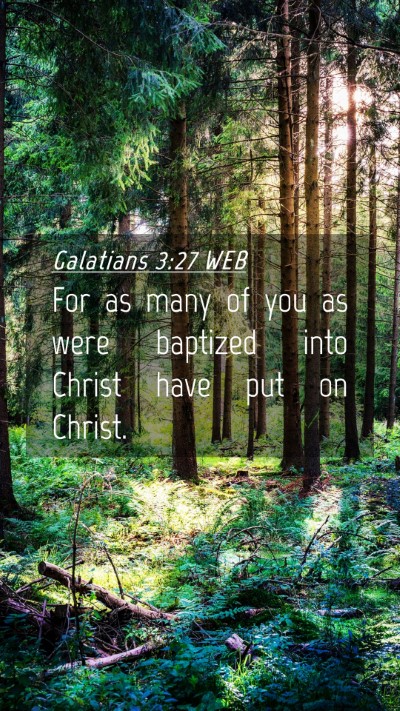 Picture 04 - Galatians 3:27 WEB Mobile Phone Wallpaper - For as many of you as were baptized into Christ - Mobile Bible Verse Wallpaper