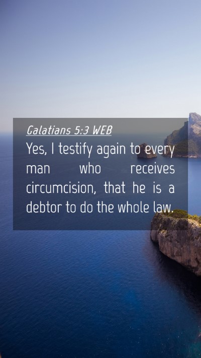 Picture 04 - Galatians 5:3 WEB Mobile Phone Wallpaper - Yes, I testify again to every man who receives - Mobile Bible Verse Wallpaper