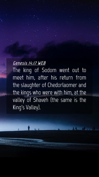 Picture 04 - Genesis 14:17 WEB Mobile Phone Wallpaper - The king of Sodom went out to meet him, after his - Mobile Bible Verse Wallpaper