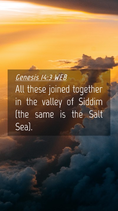 Picture 04 - Genesis 14:3 WEB Mobile Phone Wallpaper - All these joined together in the valley of Siddim - Mobile Bible Verse Wallpaper