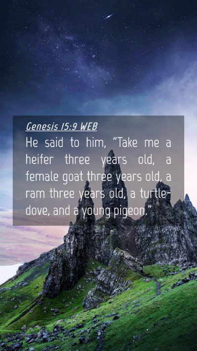 Picture 04 - Genesis 15:9 WEB Mobile Phone Wallpaper - He said to him, 