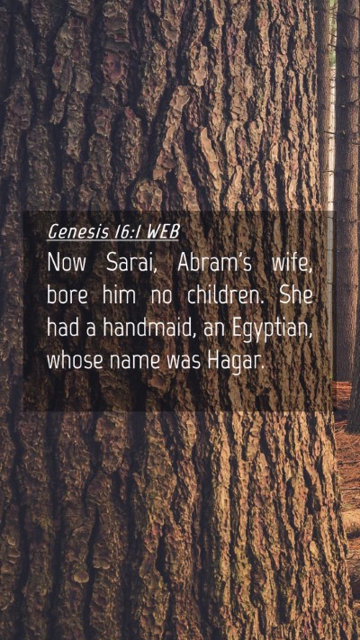 Picture 04 - Genesis 16:1 WEB Mobile Phone Wallpaper - Now Sarai, Abram's wife, bore him no children. - Mobile Bible Verse Wallpaper