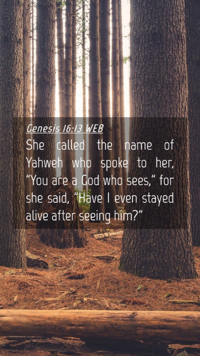 Picture 04 - Genesis 16:13 WEB Mobile Phone Wallpaper - She called the name of Yahweh who spoke to her, - Mobile Bible Verse Wallpaper