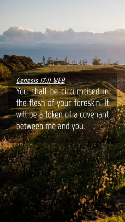 Picture 04 - Genesis 17:11 WEB Mobile Phone Wallpaper - You shall be circumcised in the flesh of your - Mobile Bible Verse Wallpaper