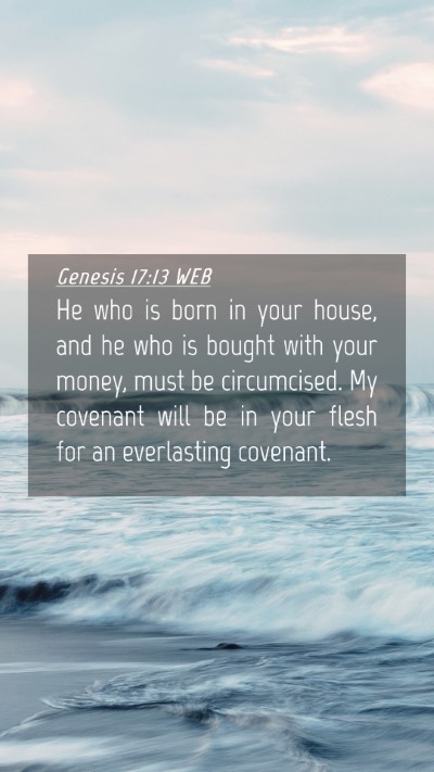 Picture 04 - Genesis 17:13 WEB Mobile Phone Wallpaper - He who is born in your house, and he who is - Mobile Bible Verse Wallpaper