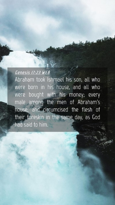 Picture 04 - Genesis 17:23 WEB Mobile Phone Wallpaper - Abraham took Ishmael his son, all who were born - Mobile Bible Verse Wallpaper