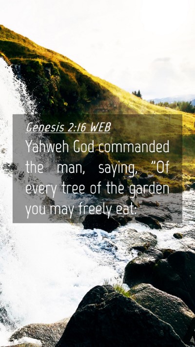 Picture 04 - Genesis 2:16 WEB Mobile Phone Wallpaper - Yahweh God commanded the man, saying, 