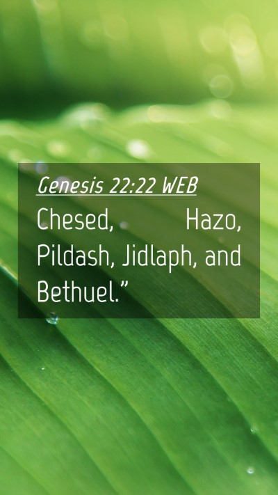 Picture 04 - Genesis 22:22 WEB Mobile Phone Wallpaper - Chesed, Hazo, Pildash, Jidlaph, and - Mobile Bible Verse Wallpaper