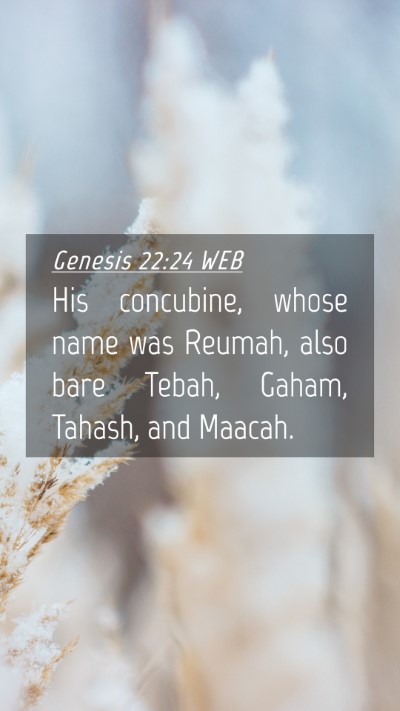 Picture 04 - Genesis 22:24 WEB Mobile Phone Wallpaper - His concubine, whose name was Reumah, also bare - Mobile Bible Verse Wallpaper