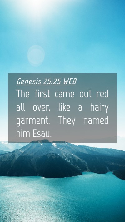 Picture 04 - Genesis 25:25 WEB Mobile Phone Wallpaper - The first came out red all over, like a hairy - Mobile Bible Verse Wallpaper