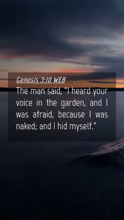 Picture 04 - Genesis 3:10 WEB Mobile Phone Wallpaper - The man said, 