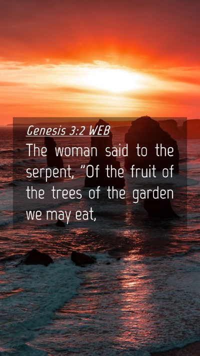 Picture 04 - Genesis 3:2 WEB Mobile Phone Wallpaper - The woman said to the serpent, 