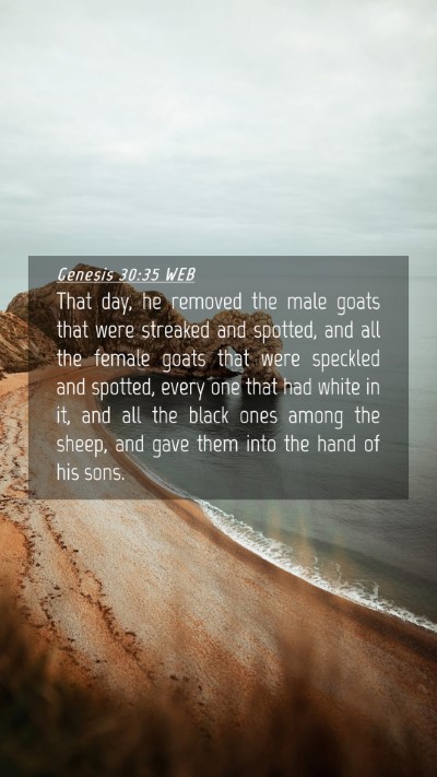Picture 04 - Genesis 30:35 WEB Mobile Phone Wallpaper - That day, he removed the male goats that were - Mobile Bible Verse Wallpaper