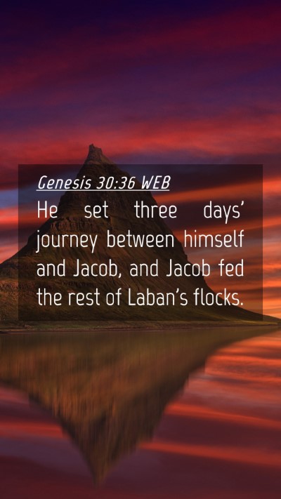 Picture 04 - Genesis 30:36 WEB Mobile Phone Wallpaper - He set three days' journey between himself and - Mobile Bible Verse Wallpaper