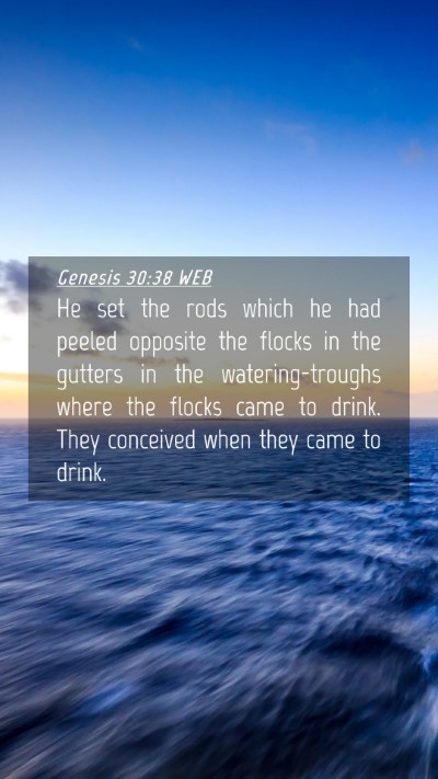 Picture 04 - Genesis 30:38 WEB Mobile Phone Wallpaper - He set the rods which he had peeled opposite the - Mobile Bible Verse Wallpaper