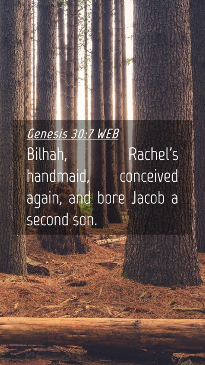 Picture 04 - Genesis 30:7 WEB Mobile Phone Wallpaper - Bilhah, Rachel's handmaid, conceived again, and - Mobile Bible Verse Wallpaper