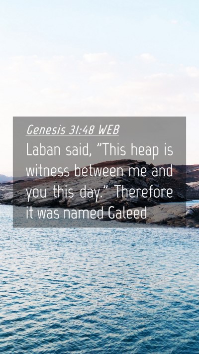 Picture 04 - Genesis 31:48 WEB Mobile Phone Wallpaper - Laban said, 