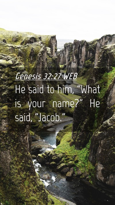 Picture 04 - Genesis 32:27 WEB Mobile Phone Wallpaper - He said to him, 