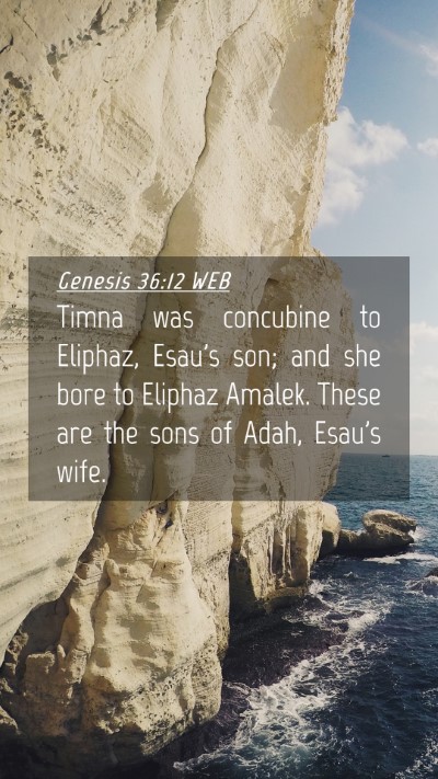 Picture 04 - Genesis 36:12 WEB Mobile Phone Wallpaper - Timna was concubine to Eliphaz, Esau's son; and - Mobile Bible Verse Wallpaper