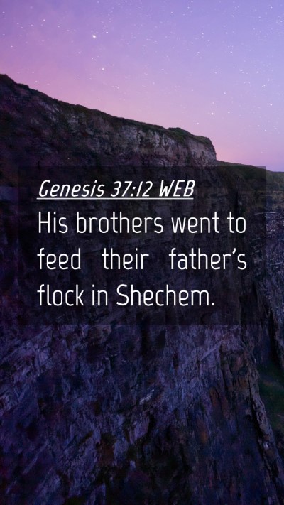 Picture 04 - Genesis 37:12 WEB Mobile Phone Wallpaper - His brothers went to feed their father's flock in - Mobile Bible Verse Wallpaper