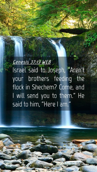 Picture 04 - Genesis 37:13 WEB Mobile Phone Wallpaper - Israel said to Joseph, 