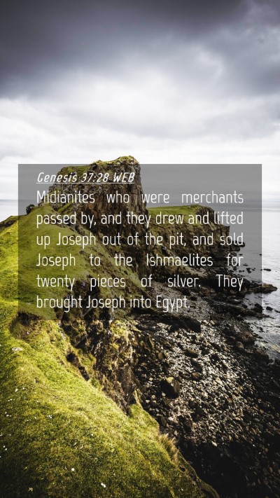 Picture 04 - Genesis 37:28 WEB Mobile Phone Wallpaper - Midianites who were merchants passed by, and they - Mobile Bible Verse Wallpaper