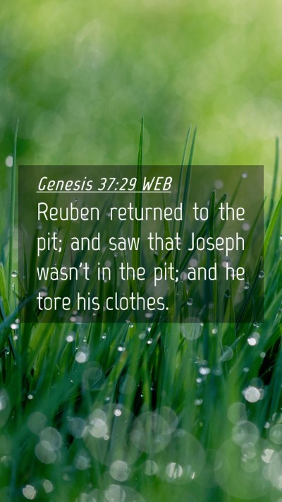 Picture 04 - Genesis 37:29 WEB Mobile Phone Wallpaper - Reuben returned to the pit; and saw that Joseph - Mobile Bible Verse Wallpaper