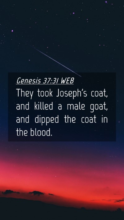 Picture 04 - Genesis 37:31 WEB Mobile Phone Wallpaper - They took Joseph's coat, and killed a male goat, - Mobile Bible Verse Wallpaper