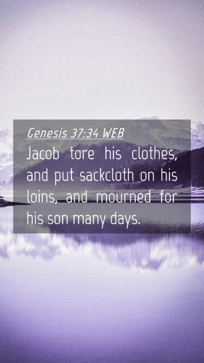 Picture 04 - Genesis 37:34 WEB Mobile Phone Wallpaper - Jacob tore his clothes, and put sackcloth on his - Mobile Bible Verse Wallpaper