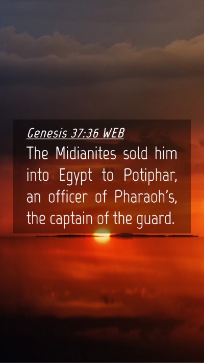 Picture 04 - Genesis 37:36 WEB Mobile Phone Wallpaper - The Midianites sold him into Egypt to Potiphar, - Mobile Bible Verse Wallpaper