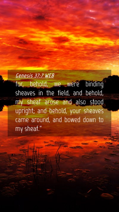 Picture 04 - Genesis 37:7 WEB Mobile Phone Wallpaper - for, behold, we were binding sheaves in the - Mobile Bible Verse Wallpaper