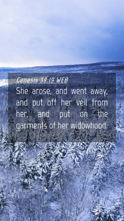 Picture 04 - Genesis 38:19 WEB Mobile Phone Wallpaper - She arose, and went away, and put off her veil - Mobile Bible Verse Wallpaper
