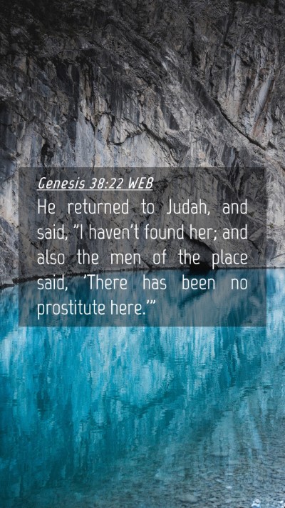 Picture 04 - Genesis 38:22 WEB Mobile Phone Wallpaper - He returned to Judah, and said, 