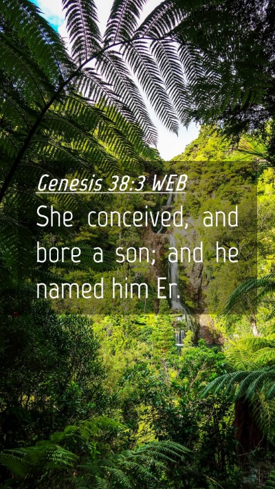 Picture 04 - Genesis 38:3 WEB Mobile Phone Wallpaper - She conceived, and bore a son; and he named him - Mobile Bible Verse Wallpaper