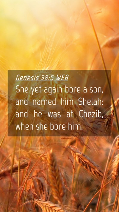 Picture 04 - Genesis 38:5 WEB Mobile Phone Wallpaper - She yet again bore a son, and named him Shelah: - Mobile Bible Verse Wallpaper