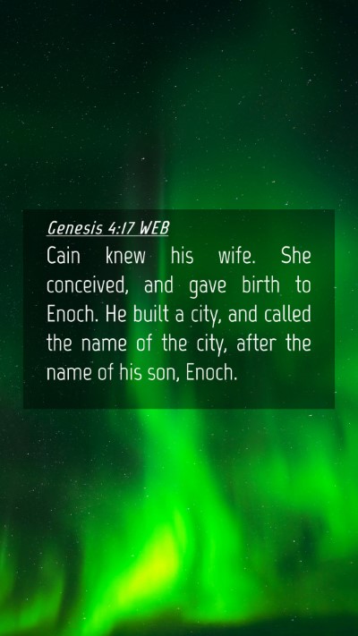 Picture 04 - Genesis 4:17 WEB Mobile Phone Wallpaper - Cain knew his wife. She conceived, and gave birth - Mobile Bible Verse Wallpaper
