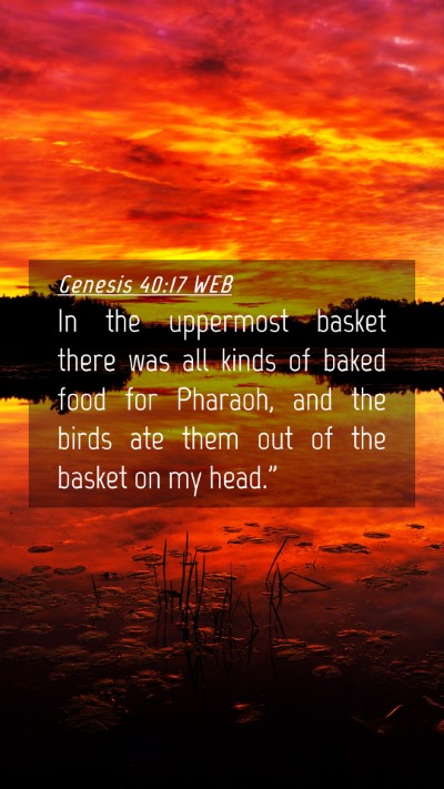 Picture 04 - Genesis 40:17 WEB Mobile Phone Wallpaper - In the uppermost basket there was all kinds of - Mobile Bible Verse Wallpaper