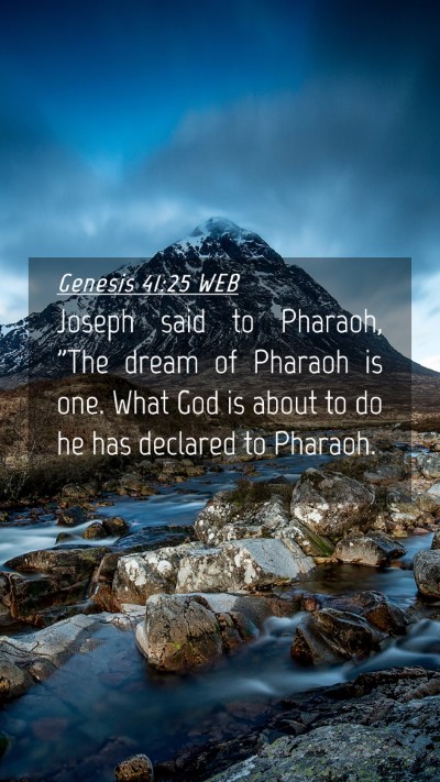 Picture 04 - Genesis 41:25 WEB Mobile Phone Wallpaper - Joseph said to Pharaoh, 
