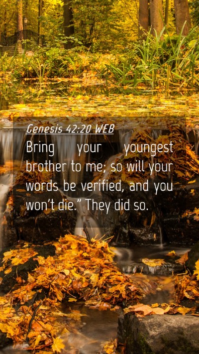 Picture 04 - Genesis 42:20 WEB Mobile Phone Wallpaper - Bring your youngest brother to me; so will your - Mobile Bible Verse Wallpaper