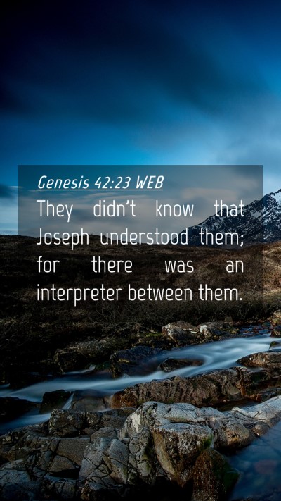 Picture 04 - Genesis 42:23 WEB Mobile Phone Wallpaper - They didn't know that Joseph understood them; for - Mobile Bible Verse Wallpaper