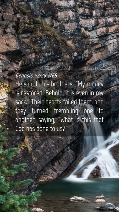 Picture 04 - Genesis 42:28 WEB Mobile Phone Wallpaper - He said to his brothers, 