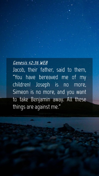 Picture 04 - Genesis 42:36 WEB Mobile Phone Wallpaper - Jacob, their father, said to them, 